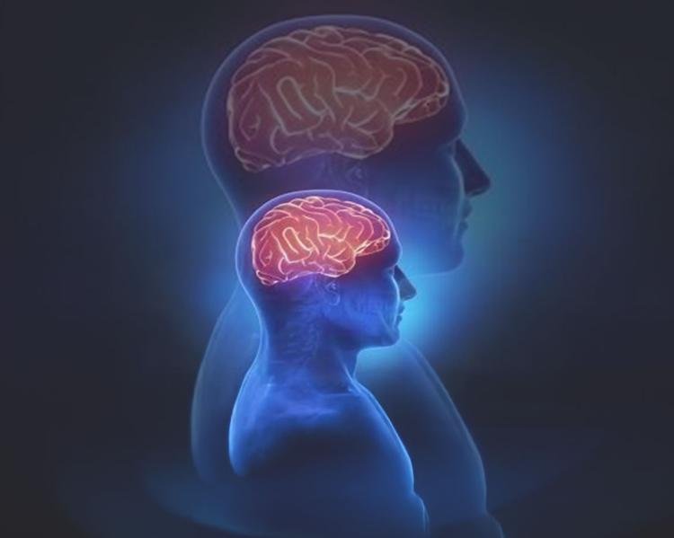 Sinapses e Consciência